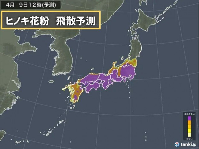 ヒノキ花粉のピーク続く　9日も広範囲で「極めて多い」　帰宅時・家の中でも対策を