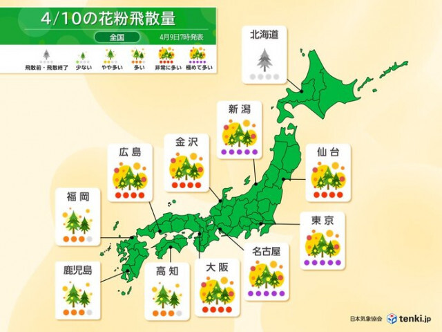 明日10日は関東や東海・北陸で花粉が「極めて多い」　メインはスギからヒノキへ