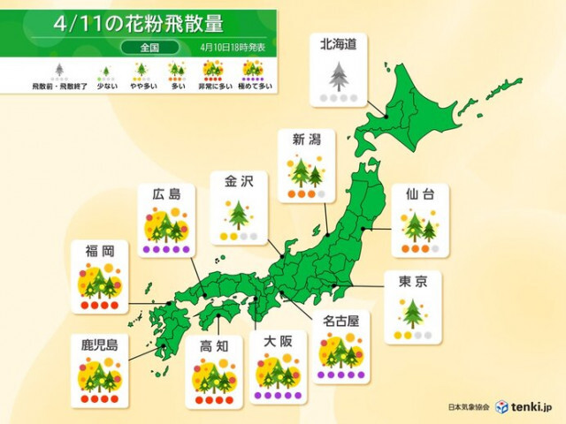 11日の花粉情報　ヒノキ花粉ピーク　九州から東海は大量飛散　黄砂飛来も