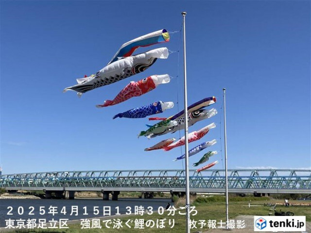 今日15日の夜にかけて強風に注意　東京都心で最大瞬間風速20メートル超