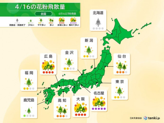 今日16日は東海で花粉の飛ぶ量が極めて多い　花粉シーズンいつまで?