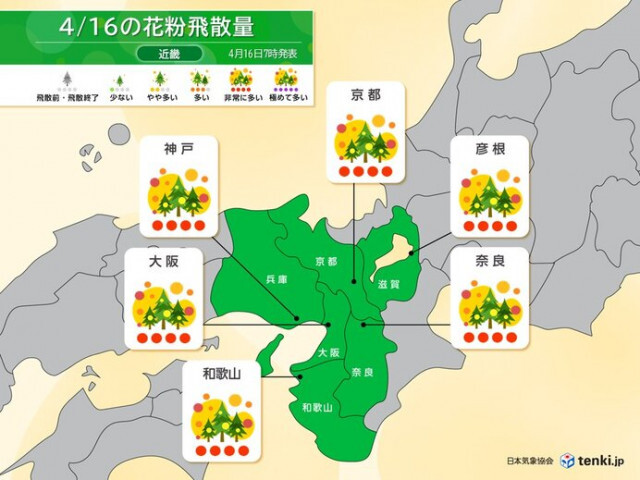 近畿の花粉シーズンは終盤　今日16日は「非常に多い」がこの先は「少ない」日も