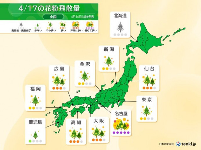 花粉情報　今日17日は広範囲で多く飛ぶ　東海では極めて多い所も