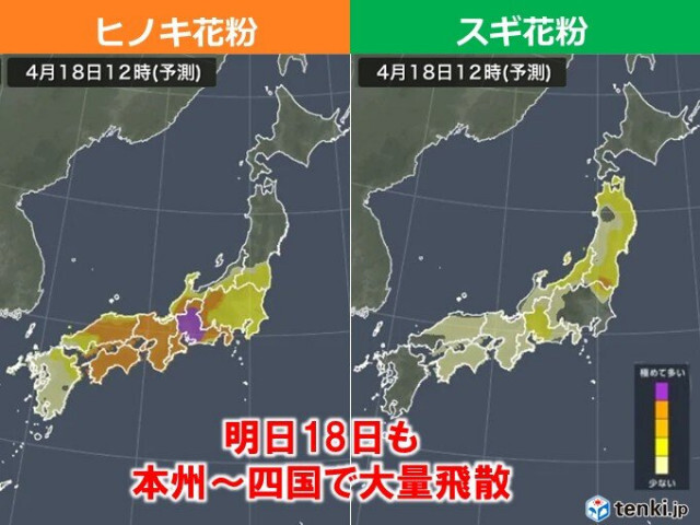 明日18日　本州と四国で花粉が大量飛散　来週ようやくピーク過ぎるがGWまで対策を