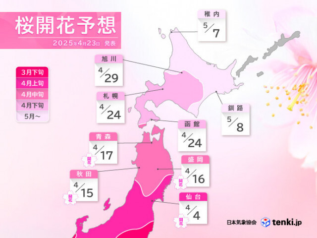 桜前線が北海道に到達　ゴールデンウィーク中は東北北部と北海道で見頃に