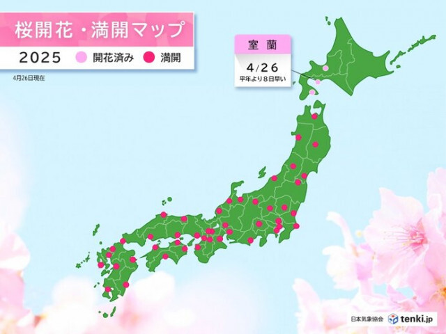 室蘭で桜(ソメイヨシノ)が開花　北海道ではGW期間中に広く見頃　お花見日和は?