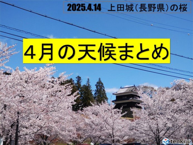 4月まとめ　今年の桜や花粉はどうだった?　5月は暑い?