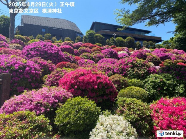 2日の関東甲信は一時的に雨や風が強まる　GW後半4連休はお出かけが楽しめる陽気