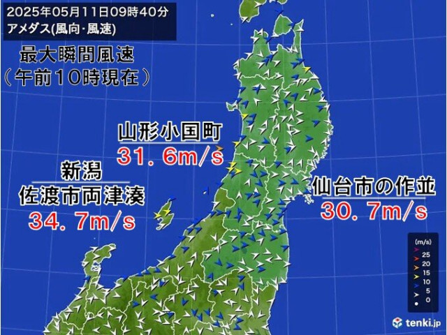 新潟や東北では記録的な暴風　今日11日夕方にかけて台風並みの暴風の可能性