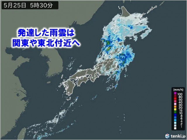 25日朝にかけて太平洋側で大雨の所も　関東は局地的に激しい雨　北日本は雨が続く