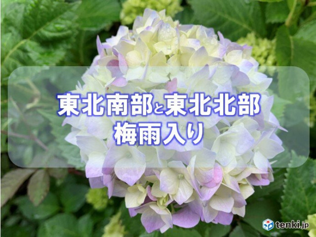 東北南部と東北北部が梅雨入り　梅雨のない北海道を除き全ての地方で長雨の季節に突入