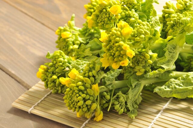 春のお悩みに！菜の花の栄養効果を高める組み合わせアイデア