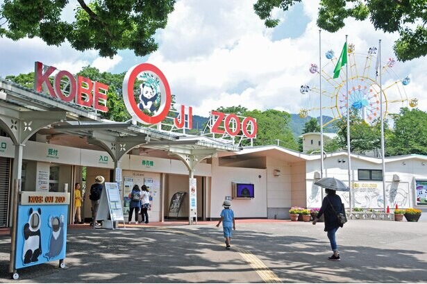 【コロナ対策情報付き】神戸市立王子動物園の攻略法を紹介！パンダとコアラ、人気モノが同時に会える