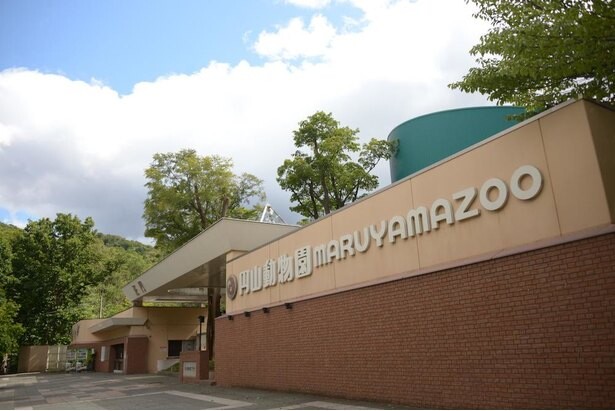 札幌市円山動物園はオールシーズンでおすすめ！グルメやお土産情報も紹介