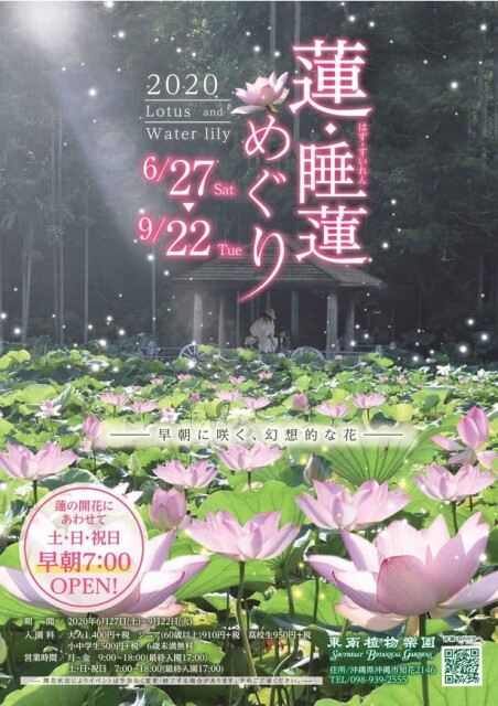 水辺の花が咲き誇る・沖縄県沖縄市で「蓮・睡蓮めぐり2020」開催中