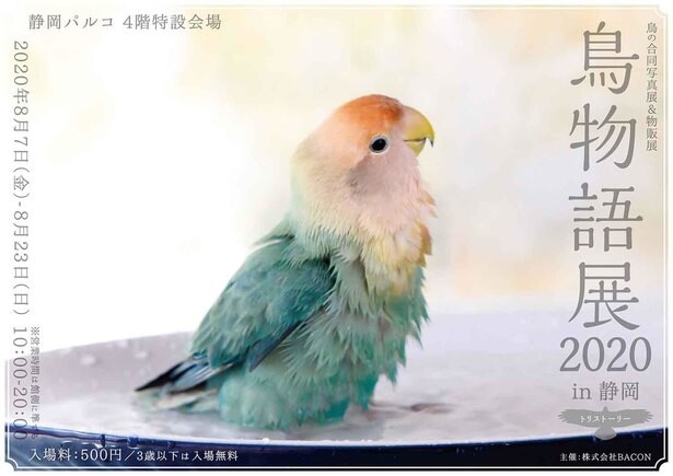 美しい鳥に出会える！静岡県静岡市で「鳥物語トリストーリー展2020in静岡」開催