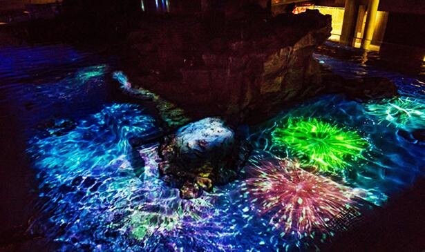 夜の水族館で水中花火とペンギンの幻想的な共演！「すみだ水族館」で夏季限定イベントを開催中