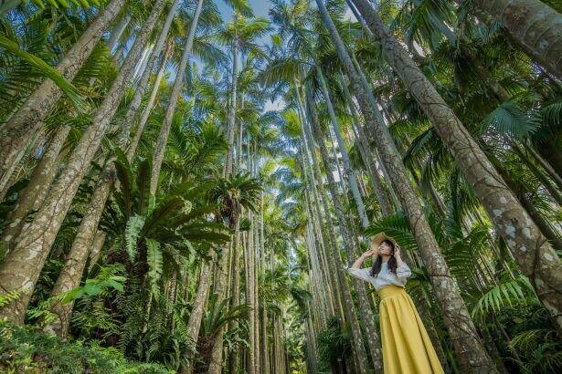 【コロナ対策情報付き】東南植物楽園の楽しみ方ガイド！沖縄が誇る亜熱帯ワールドを散策しよう