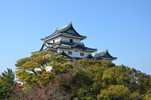 【コロナ対策情報付き】和歌山城を120%楽しむ完全ガイド！おすすめの撮影スポットも紹介
