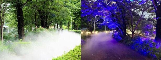 東京ミッドタウンで涼を感じよう！光とミストによる演出「光と霧の散歩道」を実施