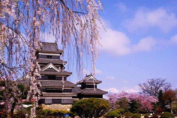 【コロナ対策情報付き】国宝 松本城は戦いの仕掛けと太平の世の優雅な櫓が織りなす国宝