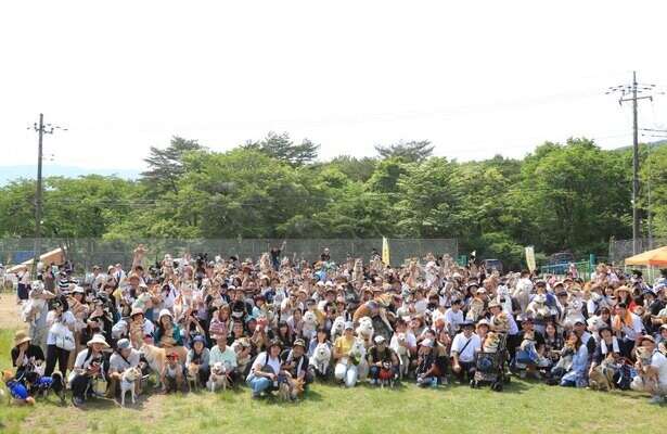 日本犬が集まる最大級のイベント！栃木県の那須ハイランドパークで「日本犬の祭典 ZIPANG2020」開催