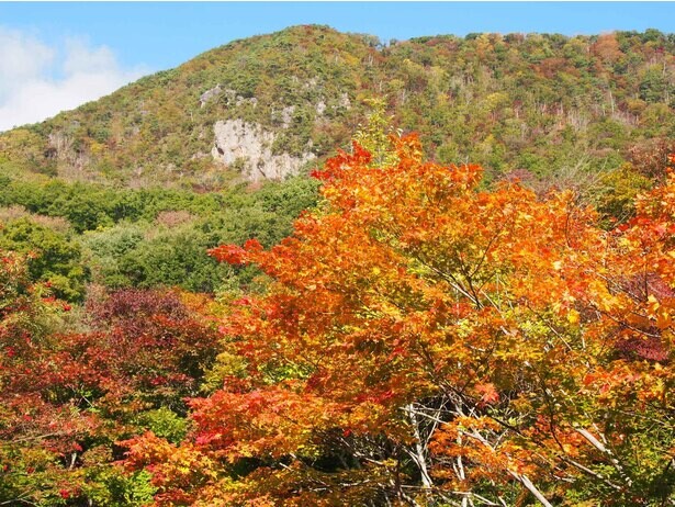 佐渡一の紅葉を堪能！新潟県佐渡市の紅葉山で紅葉が見頃