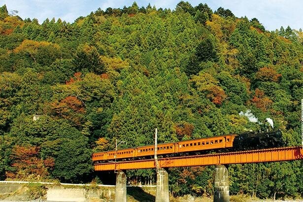 夢のつり橋から紅葉を一望！ジビエやSL列車、温泉も満喫できる、静岡県・寸又峡ドライブコース
