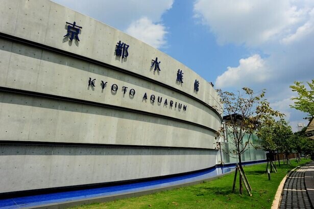 【コロナ対策情報付き】京都水族館で水の仲間たちと触れ合い、京の川や生態系を学ぼう！