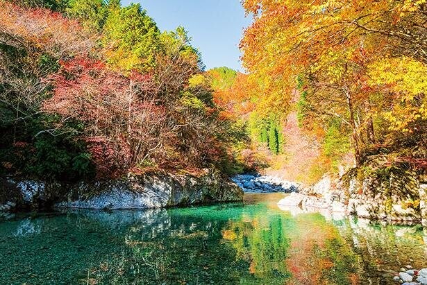 輝く清流と紅葉の美しすぎるコラボ！阿寺渓谷をめぐる長野県大桑村のドライブコース