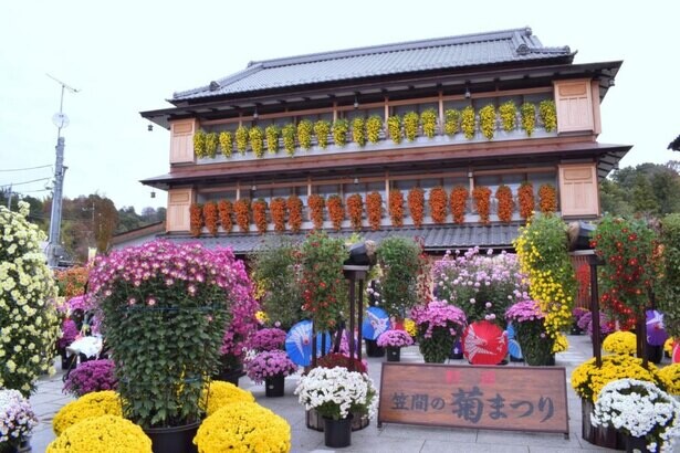 日本最古の菊まつり、茨城県の笠間稲荷神社などで「第113回 笠間の菊まつり」が開催中