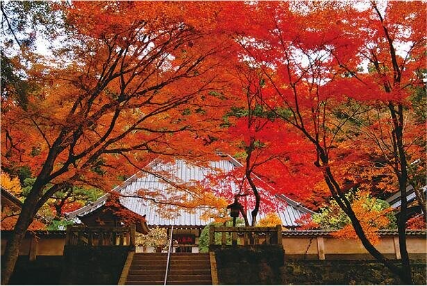 東海随一の紅葉の名所「香嵐渓」を満喫！町歩きや日帰り温泉も楽しむ秋のドライブへ