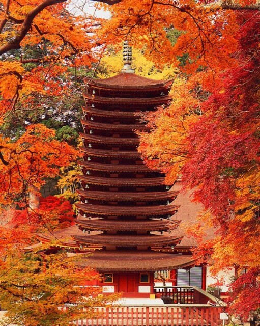 幻想的な景色が広がるライトアップも必見、桜井市の「談山神社」で紅葉が見頃