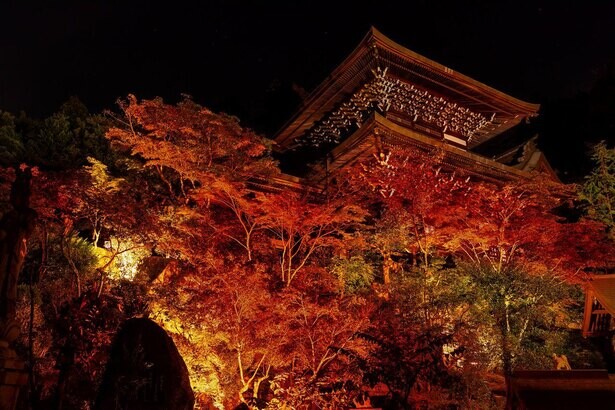 宮島で最古の歴史を持つ寺院で紅葉を満喫、廿日市の大聖院で「もみじ祭り」と「紅もみじライトアップ2020」開催