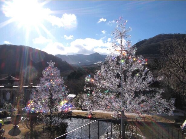ガラスと光の幻想的な世界を堪能！箱根ガラスの森美術館で「クリスタル・イルミネーション ─陽光と風に輝くクリスマス─」が開催中