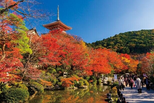 密を避けて楽しむ京都・東山の紅葉！おばんざいやあんこスイーツも
