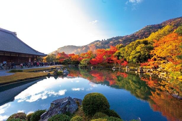 密を避けて楽しむ京都・嵐山の紅葉！美術館や湯豆腐も満喫
