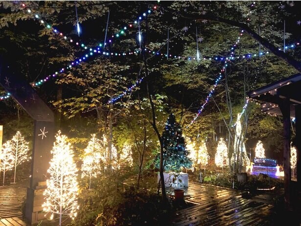 キャンプ場でイルミ!? 栃木県那珂川町で「サンタヒルズのクリスマスイルミネーション」が開催中