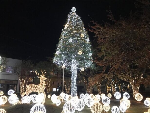写真映えするイルミネーション、青森県三沢市で「みさわクリスマスフェスティバル2020」が開催中