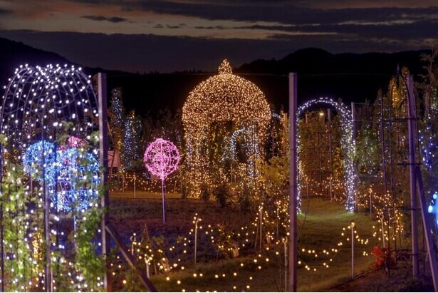 日本最大級のガーデニング庭園がライトアップ、岩手県雫石町のフラワー&ガーデン森の風で「ナイトガーデン＆イルミネーション」が開催中