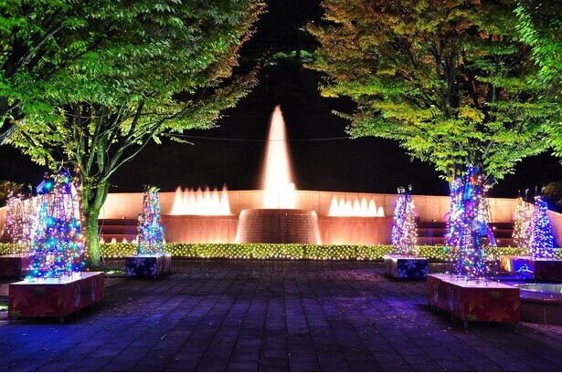願いごとの短冊で装飾された手作りツリーは必見！福井県鯖江市で「西山公園イルミネーション『光でつなぐ家族の絆』」が開催中