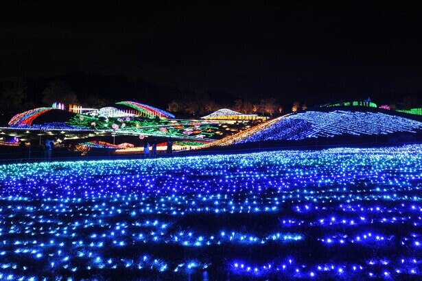 香川県の国営讃岐まんのう公園を彩るパノラマ・イルミネーション「ウィンターファンタジー」開催