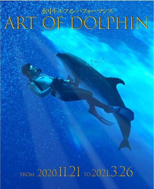 イルカとトレーナーの優雅な共演！新潟県の上越市立水族博物館うみがたりで「水中ドルフィンパフォーマンス『Art of Dolphin』」が開催中