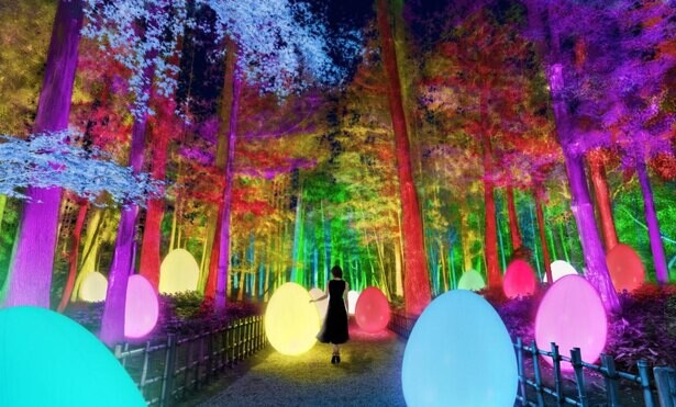 梅の名所が光のアート空間に変わる、茨城県の偕楽園で「チームラボ 偕楽園 光の祭」が開催