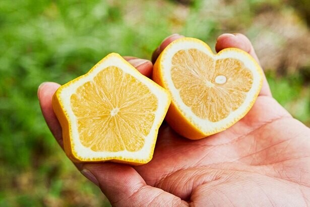 中田英寿がシェアしたい“日本の新たな価値”「安全・安心、皮ごと食べられる瀬戸田レモン」