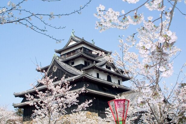 日本さくら名所100選にも選ばれた絶景、島根県の松江城山公園で桜が見頃は？