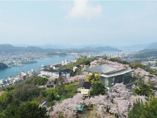 尾道市内を一望できる公園で桜を満喫！広島県尾道市の千光寺公園の桜はいつが見頃？