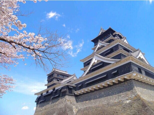 熊本のシンボルも桜の季節、熊本県熊本市の熊本城の桜はいつが見頃？
