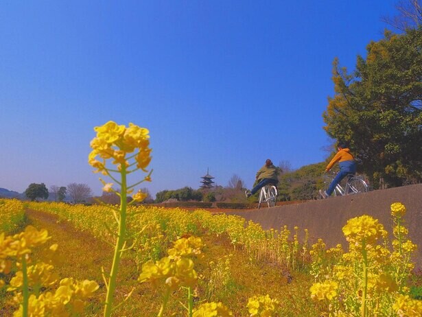 サイクリング×温泉×ベーカリー、岡山県総社市で「～きびポタ～　春の自転車さんぽ」開催
