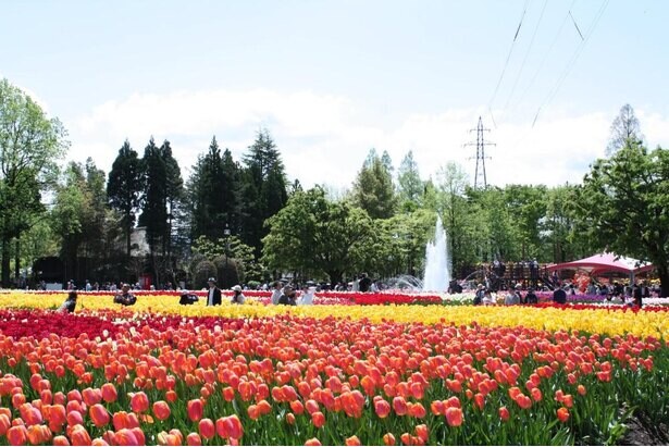 300万本のチューリップが咲く、富山県砺波市で「2021となみチューリップフェア」が開催